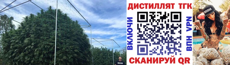 Дистиллят ТГК Wax  Гаврилов-Ям 